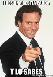 Vendo este rifle en estado normal para sus años. Lleva monturas fijas Talley.
El arma está en Gijón. Mando 150