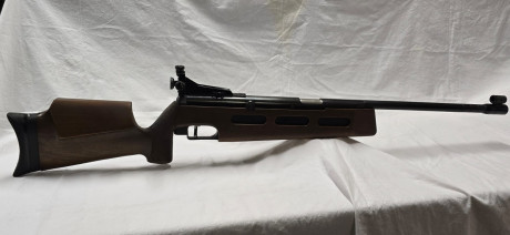 Pues, si es raro ver una de estas, no te digo nada dos... en la misma semana

Diana 75 T01 zurda
Sistema 01