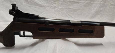 Pues, si es raro ver una de estas, no te digo nada dos... en la misma semana

Diana 75 T01 zurda
Sistema 11