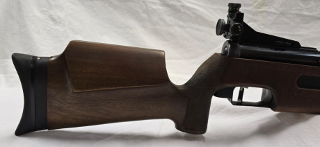 Pues, si es raro ver una de estas, no te digo nada dos... en la misma semana

Diana 75 T01 zurda
Sistema 10