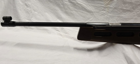 Pues, si es raro ver una de estas, no te digo nada dos... en la misma semana

Diana 75 T01 zurda
Sistema 22