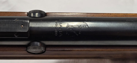 A la delicadeza del sistema Giss esta anciana une la belleza de la culata tirolesa
En perfecto estado 21