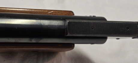 A la delicadeza del sistema Giss esta anciana une la belleza de la culata tirolesa
En perfecto estado 20