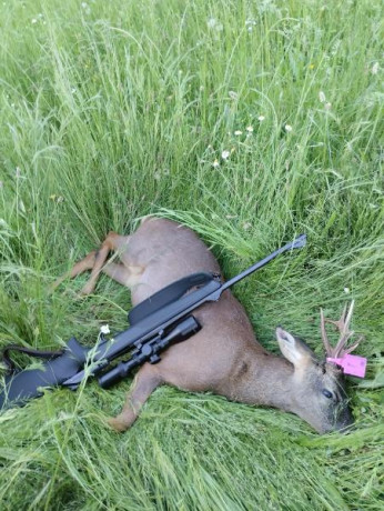 Blaser R8 profesional, cargador fijo, calibre 30-06, monturas Blaser y Delta 1,5-9x45, mi hija accidentalmente 00