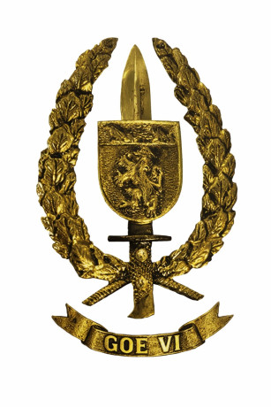 COMPRO METOPAS DE LOS GOE I - II - III - IV - V - VI Y DE LAS COES 00