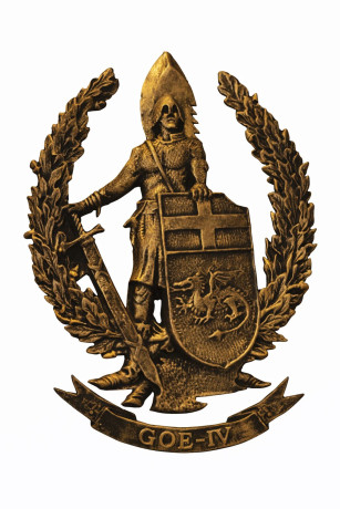 COMPRO METOPAS DE LOS GOE I - II - III - IV - V - VI Y DE LAS COES 20