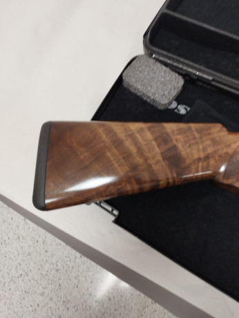 Un conocido vende esta escopeta Blaser F16, de construcción monocasco (la báscula más baja del mercado), 00