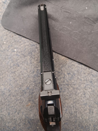 Pues vendo mi cuidada ASTRA TS22, en muy, muy buen estado. 

Incluyo.
Arma Astra TS22 6”
2 cargadores 140