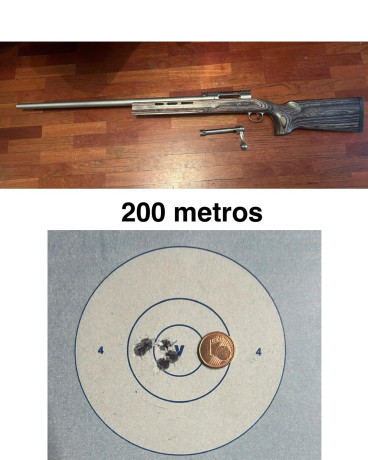 Hola.

Un amigo vende un Savage 12 Benchrest , calibre 6 Norma BR en perfecto estado , con carril picatinny 02