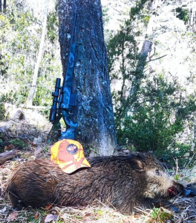  IMG_20260220_091417.jpg 

Es un rifle guapísimo, con culata de carbono PEAK de serie y disparador triggertech 22