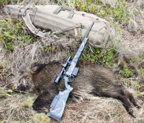  IMG_20260220_091417.jpg 

Es un rifle guapísimo, con culata de carbono PEAK de serie y disparador triggertech 20