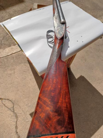 Escopeta con mecanismo tipo Purdey, apertura automática, expulsora, gatillo articulado, guardamonte con 02