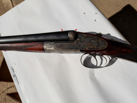 Escopeta con mecanismo tipo Purdey, apertura automática, expulsora, gatillo articulado, guardamonte con 01