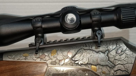 Browning 4X edición limitada I.W.A.

Rifle espectacular por su diseño y espectaculares grabados en relieve,hechos 01