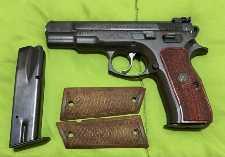 Vendo dos pistolas una P22 con dos cañones, dos cargadores y maletin de transporte, y una CZ85 con tres 11