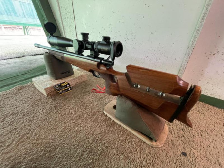 Hola, os presento mi nuevo juguete, WHALTER 22LR de 1974 especial para la modalidad “LAUFENDE SCHEIBE” 142