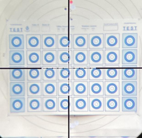 Hola, os presento mi nuevo juguete, WHALTER 22LR de 1974 especial para la modalidad “LAUFENDE SCHEIBE” 141