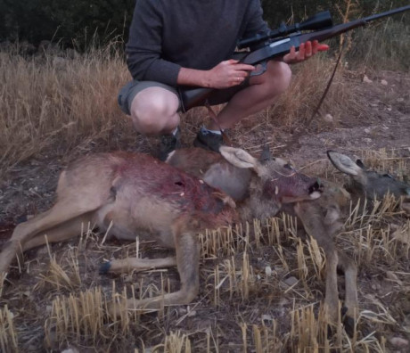 Hola por exceso de armas en mi armero, vendo mi Savage 99 en calibre Savage 250/3000.

El arma funciona 12