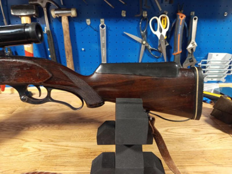 Hola por exceso de armas en mi armero, vendo mi Savage 99 en calibre Savage 250/3000.

El arma funciona 30