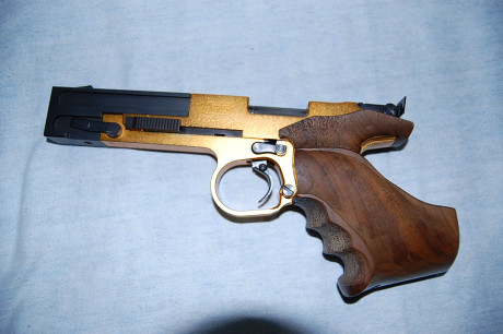 VENDO FAS 607  22 LR
Cacha talla M muy cómoda hecha a medida.
Tengo algo de repuesto. (puntos de mira, 01