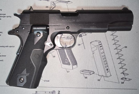 COLT 1991A1 cal. 45ACP,

 20260423_202035.jpg  20260423_202041.jpg  20260423_202307.jpg 

Incluye: cachas 01