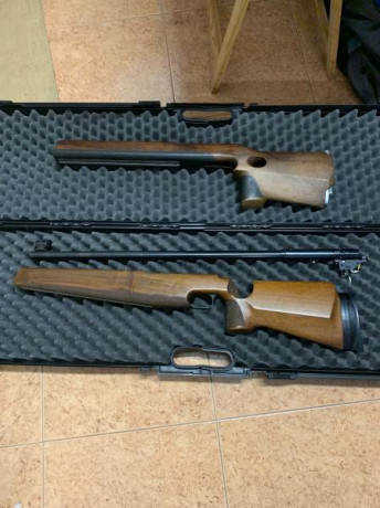 Vendo culata para Anschutz Match 54 de acción redonda
Precio 200€
Más información: javierimarga@hotmail.com 90