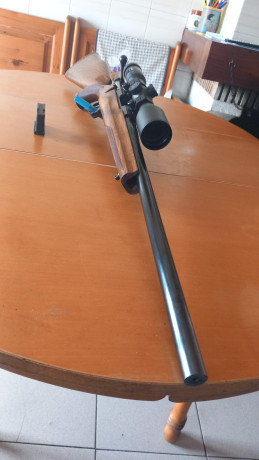 De un amigó cazador , que va limpiando el armero , RIFLE SABATTI CAL 6mm PPC, sin visor,en perfecto estado 02