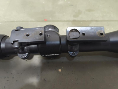 Vendo monturas completas leupold montadas en un Remington 700 de 1``
80€ 00