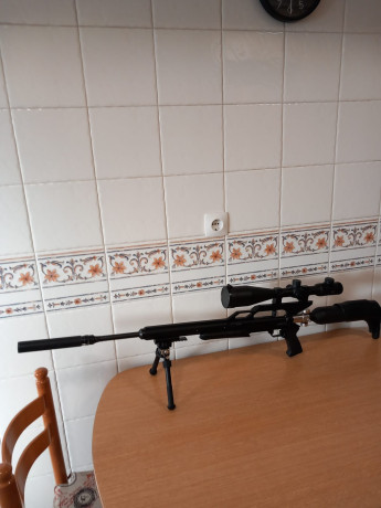 Hola, Vendo o Cambio GunPower SSS, cal. 5.5, cañón LW de alto rendimiento, con dos depósitos y sus válvulas 01