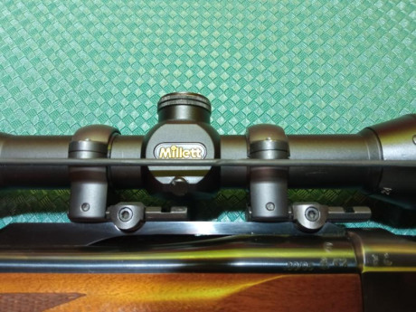 Buenos días compañeros.
Pongo a la venta dos armas emblemáticas dentro de su segmento. Dos Ruger americanos.

- 20