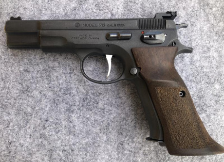 Hola amigos! ya que se muestran tantas armas buenas creo que a los propietarios de una cz 75 se nos tendría 81