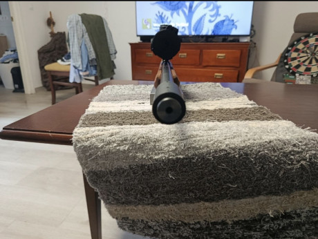 Hola, os presento mi nuevo juguete, WHALTER 22LR de 1974 especial para la modalidad “LAUFENDE SCHEIBE” 160