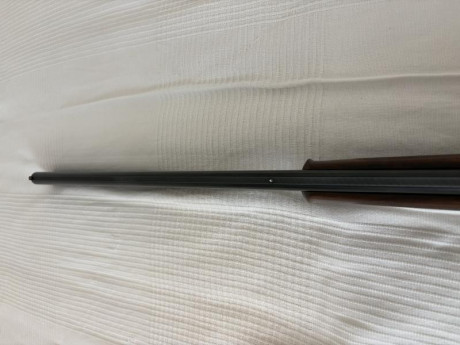 Hola

Vendo preciosa escopeta BERETTA modelo 687, acabado silver pigeon V. Es calibre 20. Carrillera ajustable. 20