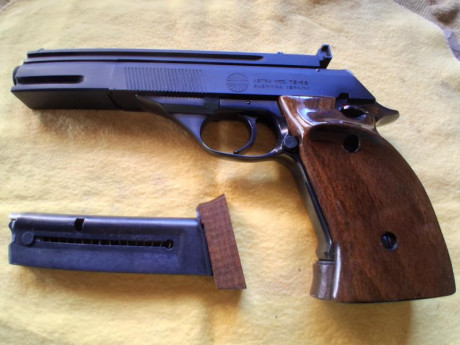 Hola. 
Vendo pistola semiautomática ASTRA TS 22. Calibre. 22Lr. Dos cargadores,manual y caja original. 30