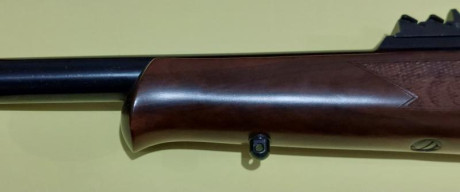 Hola, buenas a todo el grupo.
Estoy interesado en la compra de un rifle en este calibre y solo en este 32