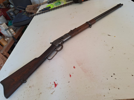 Rifle Tigre (Winchester)  calibre 44-40  
Guiado en armas históricas licencia F / antes guiado en caza
 01