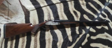 Urge vender Express Gravex 375 HH
Cañones demiblock
Guión Moonlight y alza de librillos.
Pongo precio 00