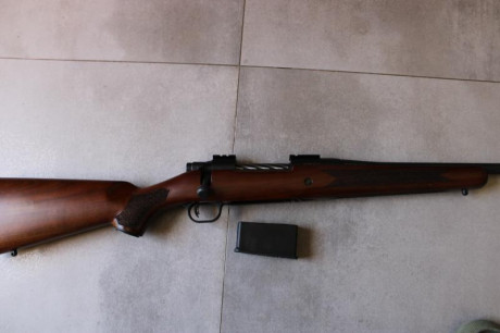 Hola. Vendo rifle MOSBERG PATRIOT WALNUT, 30-06.
Único dueño. Solo ha disparado cuatro cajas de 20, en 02