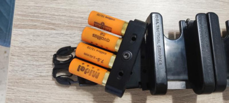 Pongo a la venta cinturón con portacarcuchos del calibre 12 de la prestigiosa marca CALIFORNIA COMPETITION 30