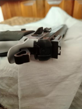 Se vende pistola TANFOGLIO match con kit 22 en perfecto Estado. Caja original de lujo, miras fibra JB. 150