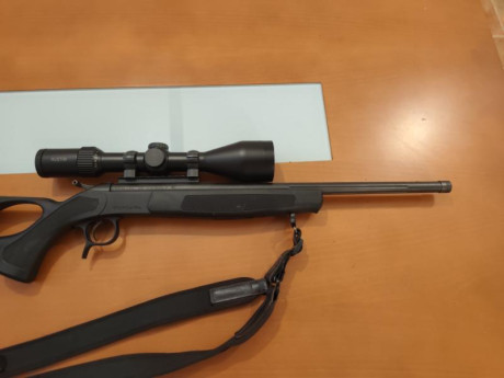 Bergara BA 13 Tumbhole, cal 243 w, con rosca homologada, monturas desmontables Warne, visor Avistar 3x12x56, 00