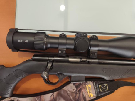 Amadeo Rossi 17 HMR, monturas Warne fijas, rosca homologada ,visor Avistar 2'5x10x50, se entrega con funda, 01