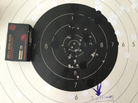 Esta arma la he adquirido muy recientemente. Quería una 22 nueva, sin gastar en un arma top. Como he tenido 12