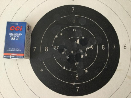 Esta arma la he adquirido muy recientemente. Quería una 22 nueva, sin gastar en un arma top. Como he tenido 11