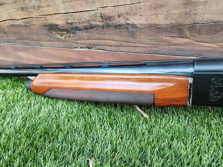  Vendo escopeta semiautomática Beretta modelo A304

* Calibre 12/70
* Ánima 18,3
* Cañón de 71cm
* Peso: 11