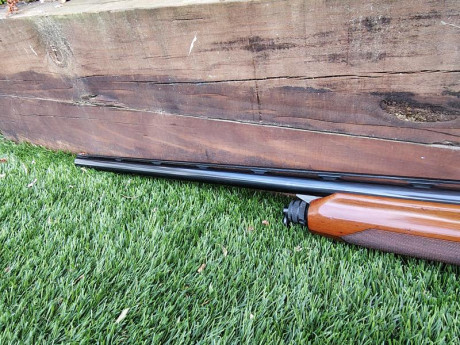  Vendo escopeta semiautomática Beretta modelo A304

* Calibre 12/70
* Ánima 18,3
* Cañón de 71cm
* Peso: 10