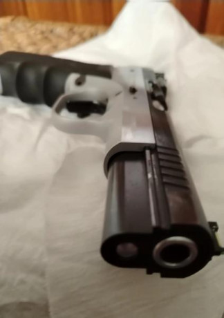 Se vende pistola TANFOGLIO match con kit 22 en perfecto Estado. Caja original de lujo, miras fibra JB. 11