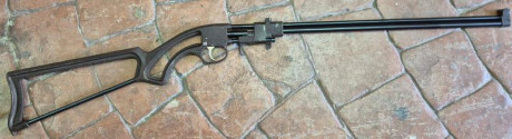 Se vende carabina monotiro del 22 BRONCO, cuando menos un arma bastante curiosa y en perfecto estado.

Se 00