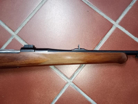 Vendo rifle Brno Modelo98 en calibre 30-06 .
El rifle incluye bases apel y anillas apel de 25 mm . 
Esta 00