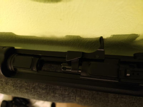 Armi Chiappa Carabina M1 Polymer 22lr: 2 cargadores, uso mínimo, estado perfecto. Sin fallos, ligera y 11